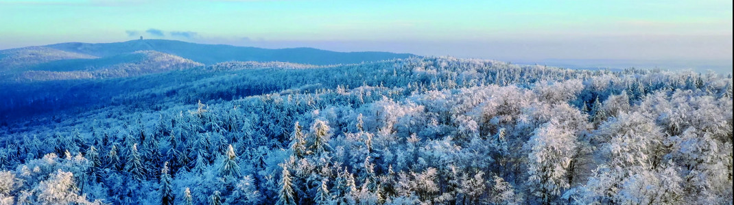 Ab zur Langlauf-Reise durch den Bayerischen Wald