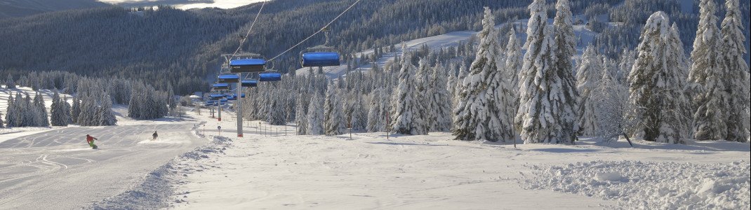 Neben 31 Schleppliften gibt es auch 5 Sesselbahnen und eine Gondel im Liftverbund Feldberg.