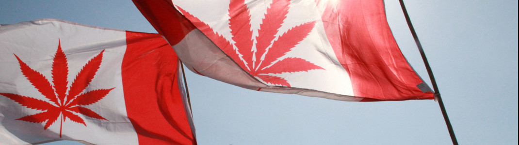 "Flagge zeigen" beim Vancouver Global Marijuana March 2015.