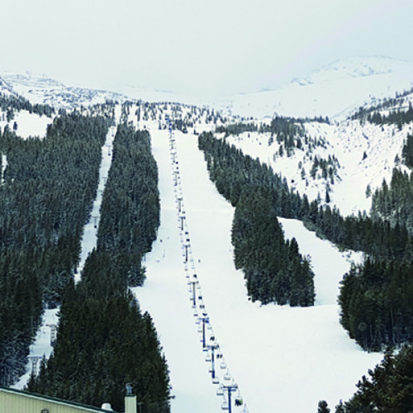 Das Skigebiet Castle Mountain wird von den skifahrbegeisterten Bürgern vor Ort betrieben.