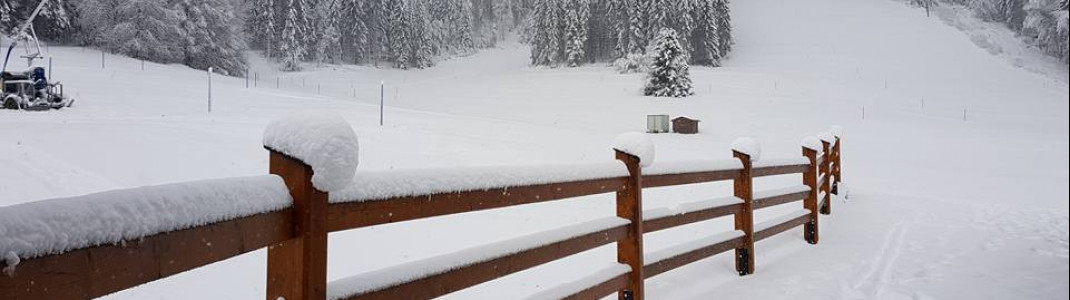 In Herrischried liegen gute 30 Zentimeter Schnee am Berg.