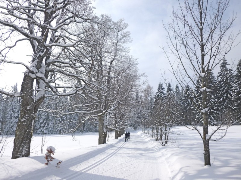 Im Langlaufzentrum Sankt Englmar kannst du klassisch langlaufen, aber auch skaten.