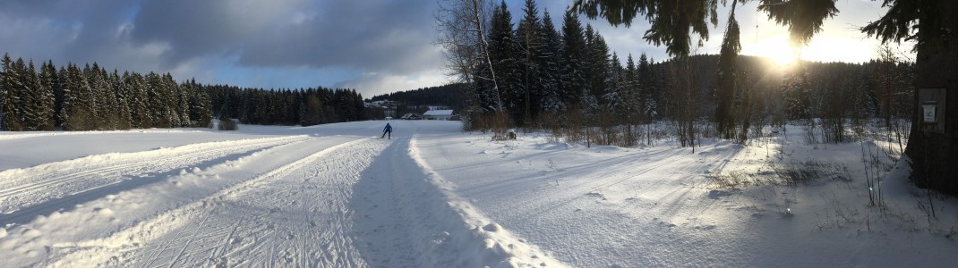 Die Dreikönigsloipe im Reschbachtal ist das Herzstück des Langlaufzentrums Mauth-Finsterau
