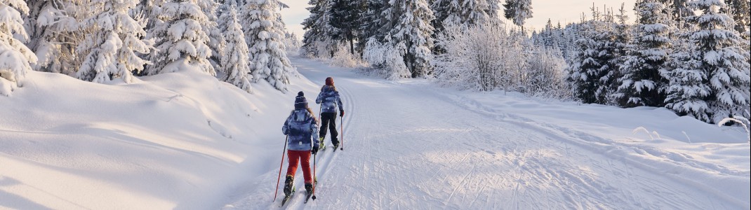 Die Bergregionen in Ostbayern sind ein Traum für Langläufer. Wir stellen die sechs besten Langlaufgebiete vor.