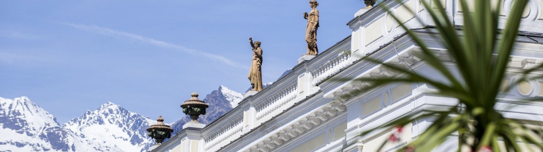 Meraner Land: Schneebedeckte Gipfel treffen auf grüne Palmen.
