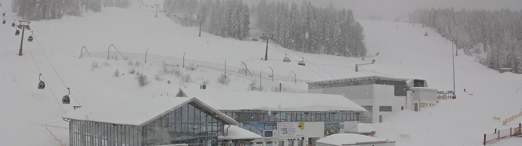 Seit Dienstag schneit es fast durchgehend am Arber im Bayerischen Wald. (Webcambild vom 19.1.)