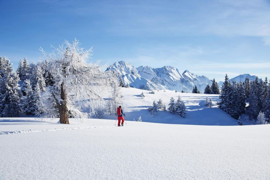 Mit der Welcome Card stehen dir zahlreiche Inklusivleistungen zur Verfügung, darunter zum Beispiel auch geführte Winterwanderungen.