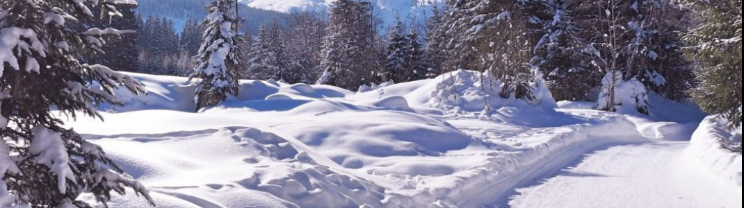 Präparierte Wanderwege führen durch die verschneite Landschaft des Gasteinertals.