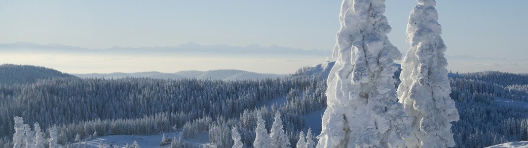 Im Winter bietet der Feldberg Besuchern ein tolles Panorama.