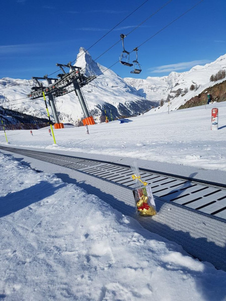 100 Osterhasen wurden für die Gäste in Zermatt versteckt.