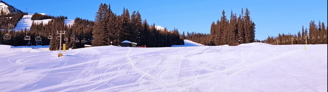 Grüne Pisten im Skigebiet Marmot Basin in Jasper in Kanada.