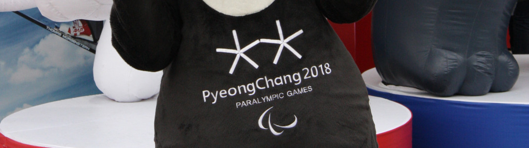 Das Maskottchen der Paralympics: der schwarze Bär Bandabi.