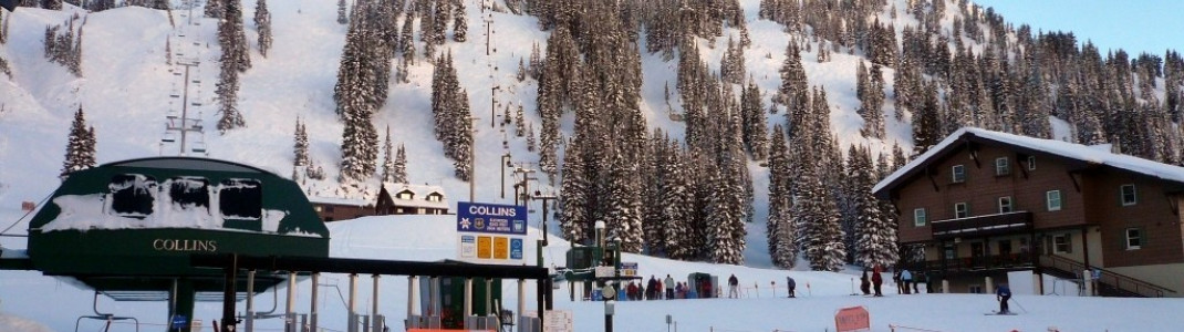 "Wildcat and Collins Chair"
