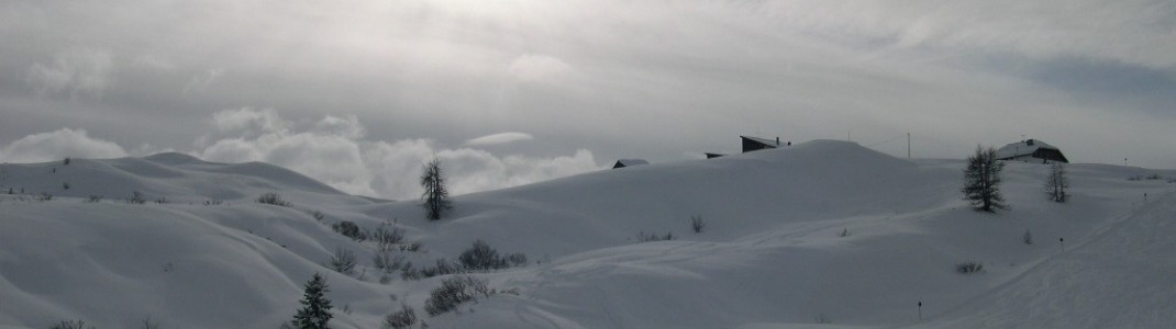 Blue marked slope starting at Ütia Pralongia