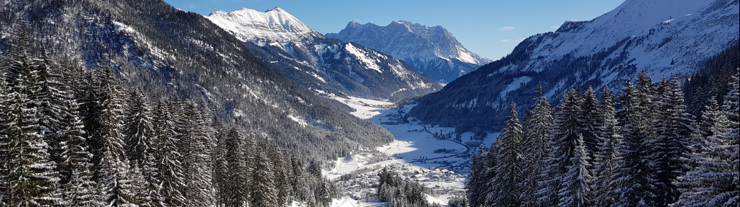 On the downhill run to the Almkopf lift you can enjoy a great view towards the Zugspitze.