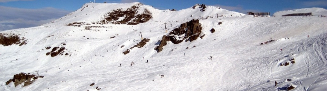 Terrain at the "White Star Eypress"