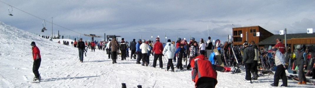 View of "Meadows Chair"