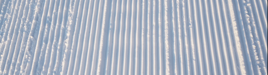 Perfectly groomed slopes at Marmot Basin.