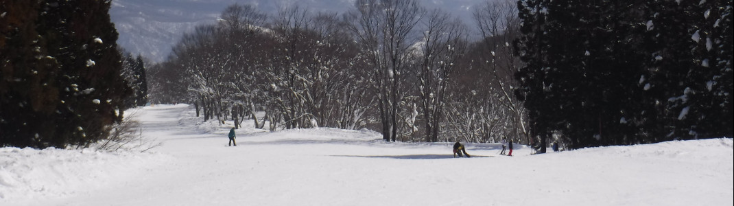 The slopes of Myoko Kogen are relatively long, but less steep.