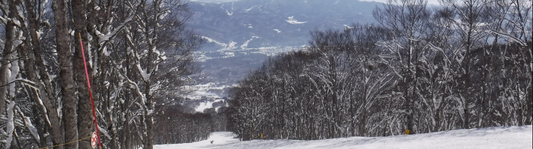 Numerous flat pistes await beginners.