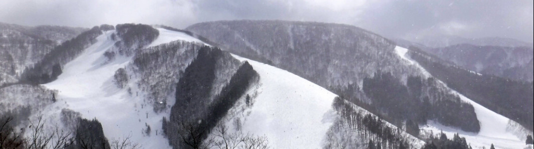 View towards Sky Line slope