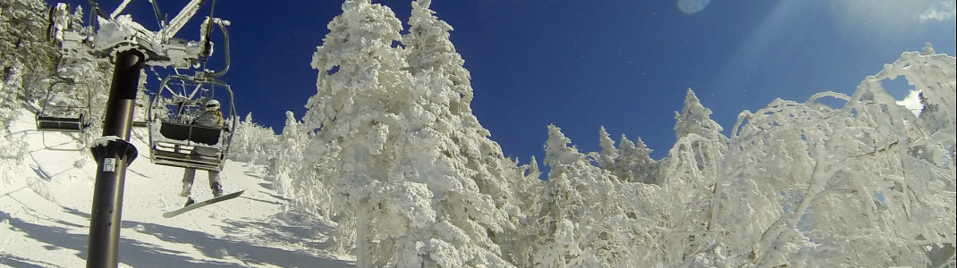 The so-called snow monsters (snowy trees) at Mt Yokote