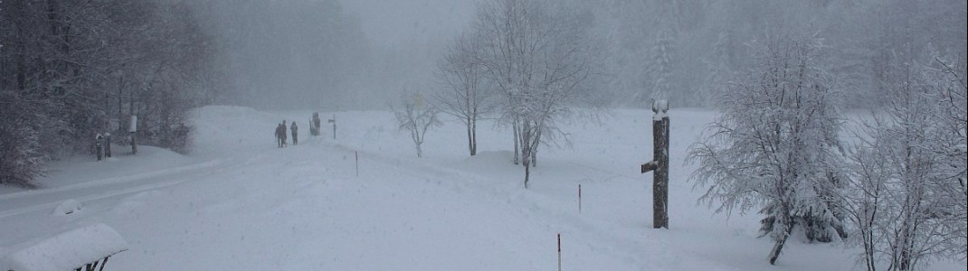 Im Bayerischen Wald, wie hier in Drachselsried, sind seit dem frühen Donnerstagmorgen bereits rund 30cm gefallen.