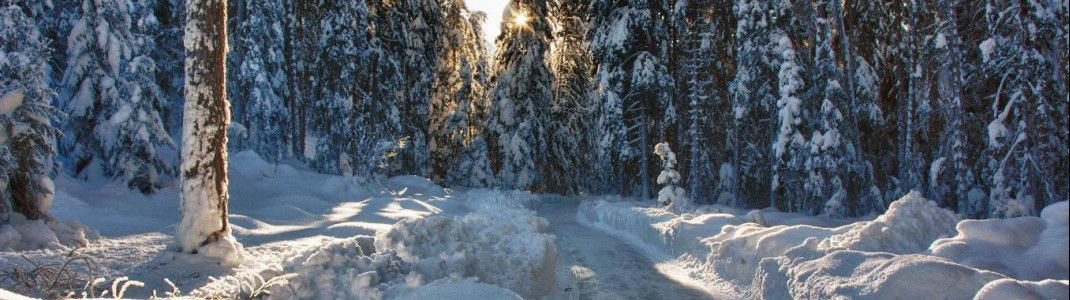 Auf Schlittschuhen durchs Winterwunderland - das gibt's so nur im Unterengadin!