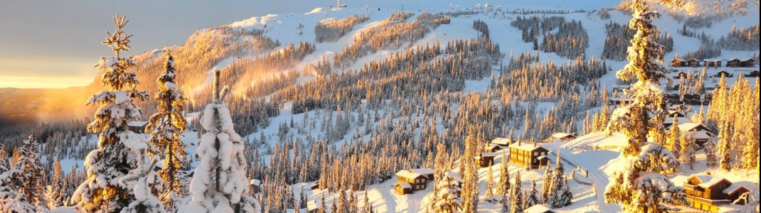 Sechs Weltcuprennen werden heuer im norwegischen Kvitfjell ausgetragen.