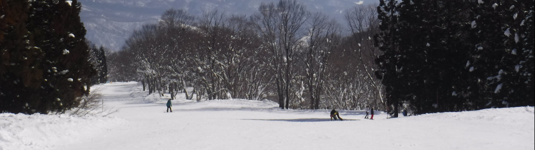 Zu den wenig besuchten Skigebieten in Japan gehören die Pisten in Myoko Kogen.