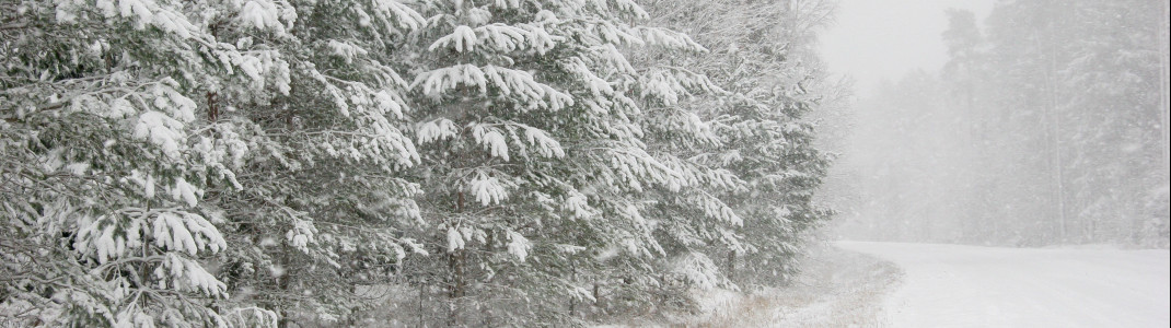 Rund um den 1. April wird es tiefwinterlich in Mitteleuropa.