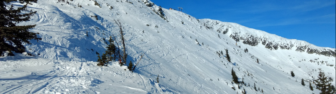Einige Bowls sorgen für Freeride-Fun abseits der präparierten Pisten
