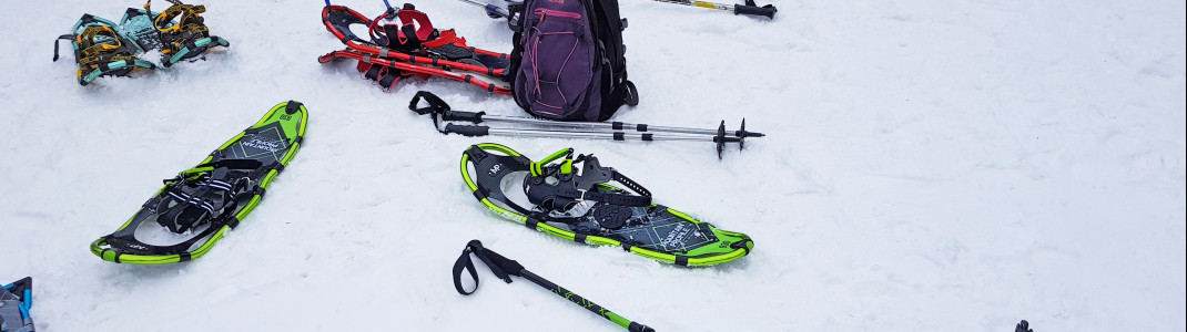In Castle Mountain werden Schneeschuhwanderungen bei Mondschein angeboten