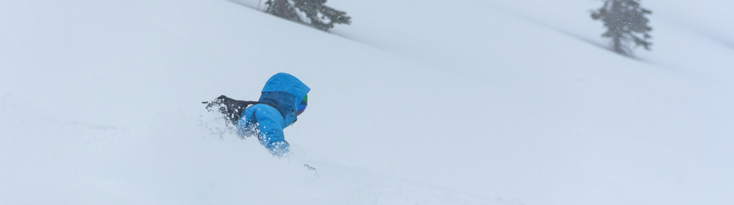 Ein unvergessliches Erlebnis: Tiefschnee fahren beim "Cat Skiing" am Mount Haig