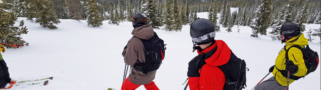 Fortgeschrittene Skifahrer haben in Castle Mountain sicher viel Spaß!