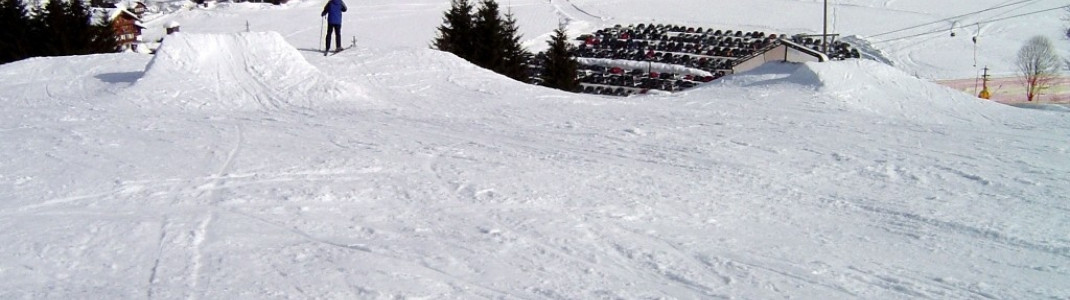 Anfänger- Boarder- Park in Gosau!