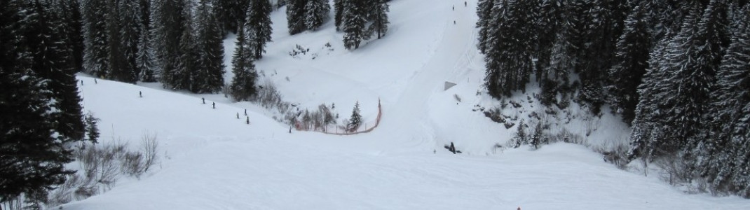 Buckelpiste 3 (Skiroute 3) von der Abfahrt 14 abzweigend!