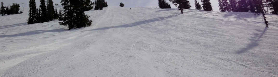Wer einigermaßen sicher im Skifahren ist, kann auch die hervorragend präparierten mittelschweren Pisten (in USA blau markiert) erkunden.