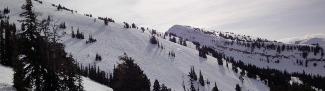 Für amerikanische Verhältnisse bietet Grand Targhee relativ viel Terrain über der Baumgrenze. Neben und zwischen den präparierten Pisten finden sich häufig auch schöne Buckelpisten und Tiefschneehänge