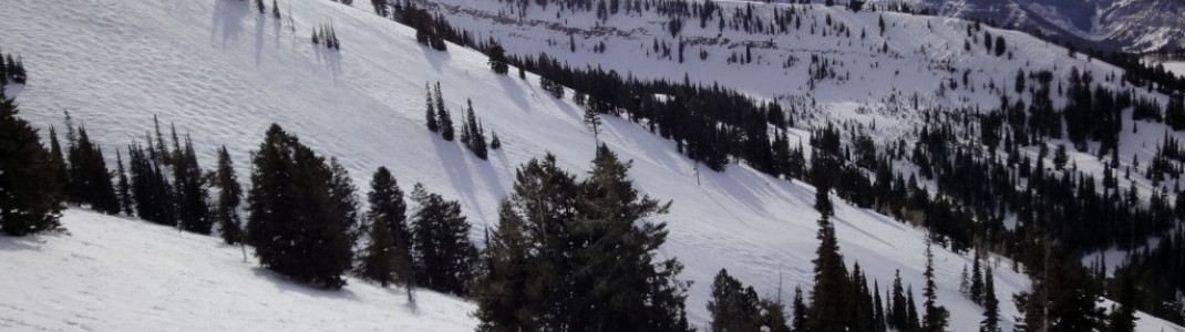 Blick auf die Double Diamond Hänge Bobcat, Reliable, Toilet Bowl und Das Boat am Peaked Mountain!