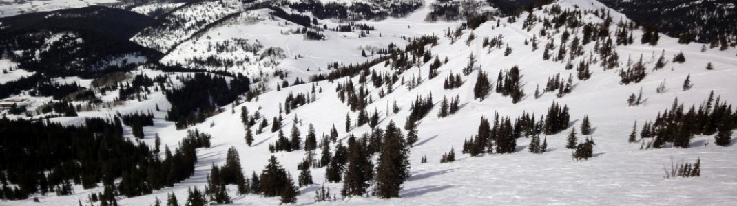 Powderabfahrt "The Good"!