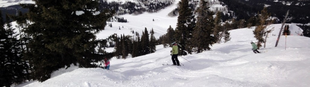 Buckelpiste Headwall!