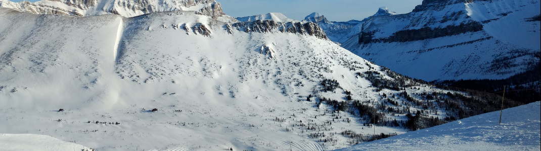 Zahllose Tiefschneehänge in den Back Bowls - Perfektes Terrain für Freerider