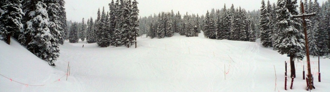 Lower Creek Trail!