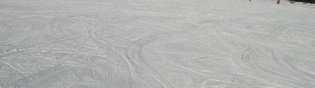 Breite Piste der Almwiesenabfahrt