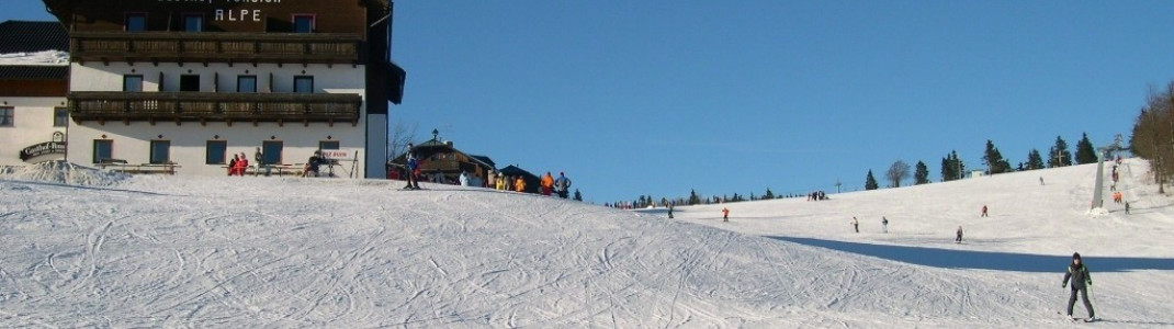 Blick auf Almwiesenlift