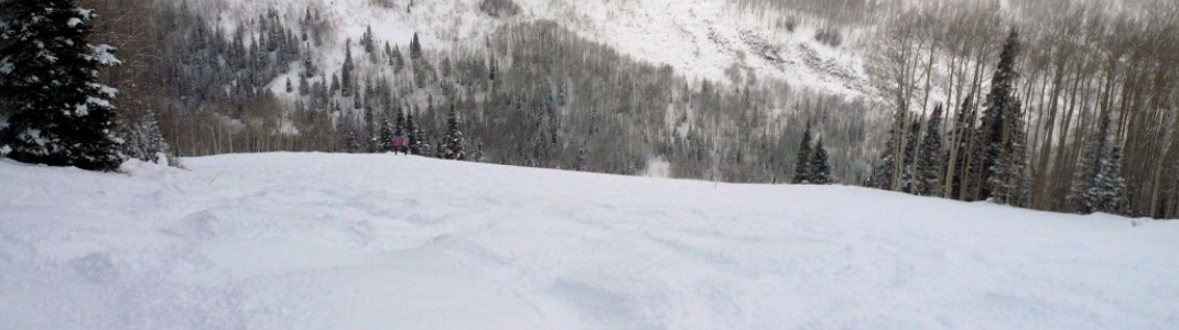 Park City hat besonders im Teilgebiet "McConkey´s" viele Buckelpisten zu bieten!