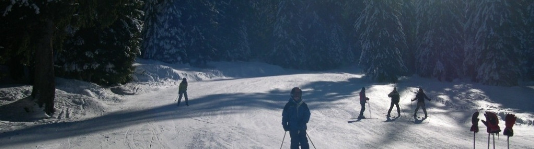 Einfache Pisten (hier die sehr lange blaue Abfahrt vom 2019m hohen Pointe de Nyon bis nach Morzine)!