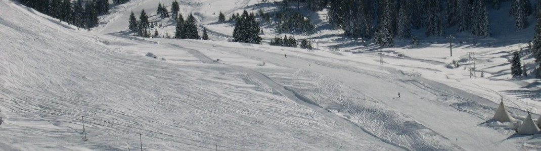 Blaue Familienabfahrten vor allem von Avoriaz hinab ins Tal nach Morzine!