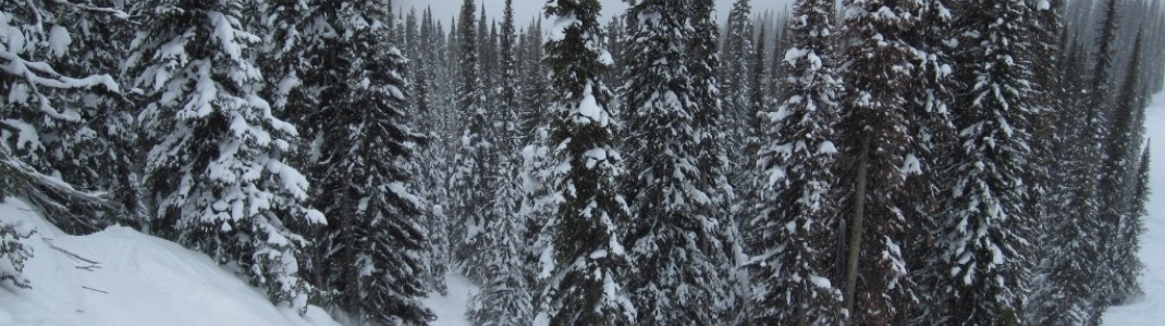 "Snorkel Glades" beim Sessellift "The Ripper"!